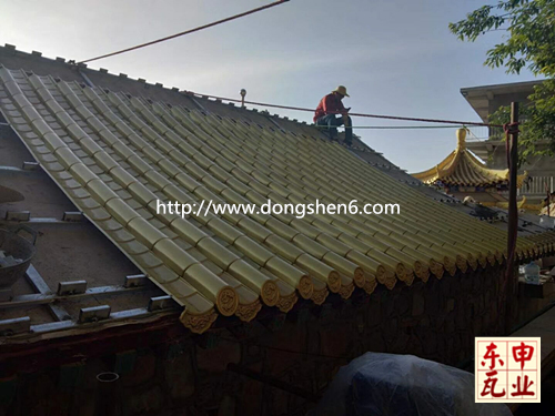 ���~�~��